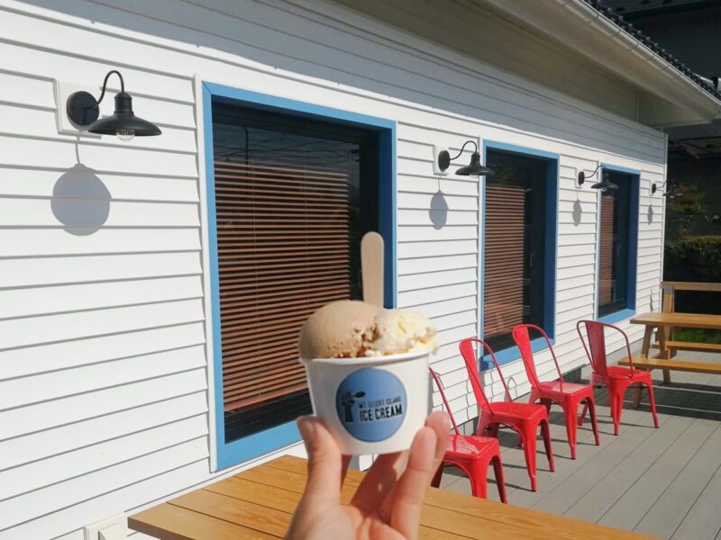 Mt. Desert Island Ice Cream