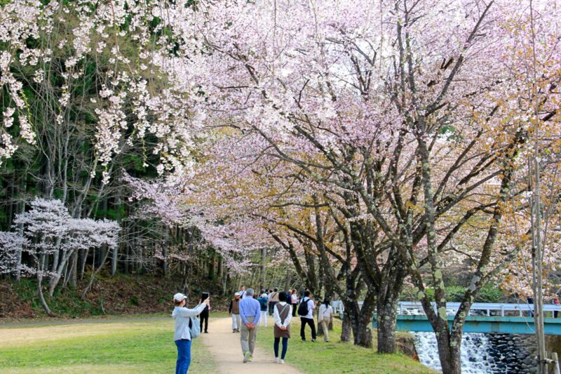 白馬の大出公園