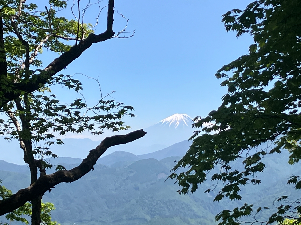 山梨日向山からの富士山