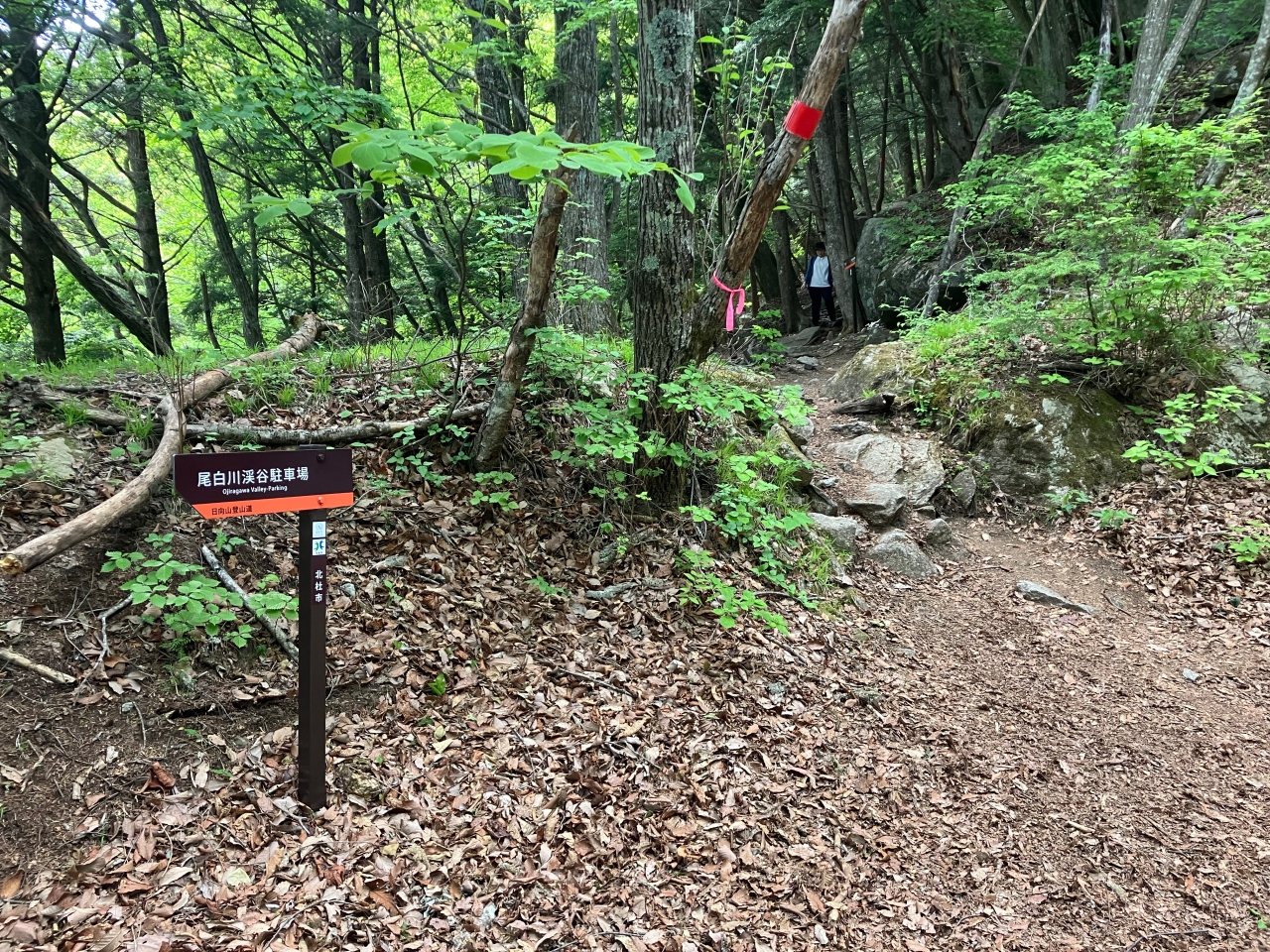 山梨「日向山」道路から山道へ